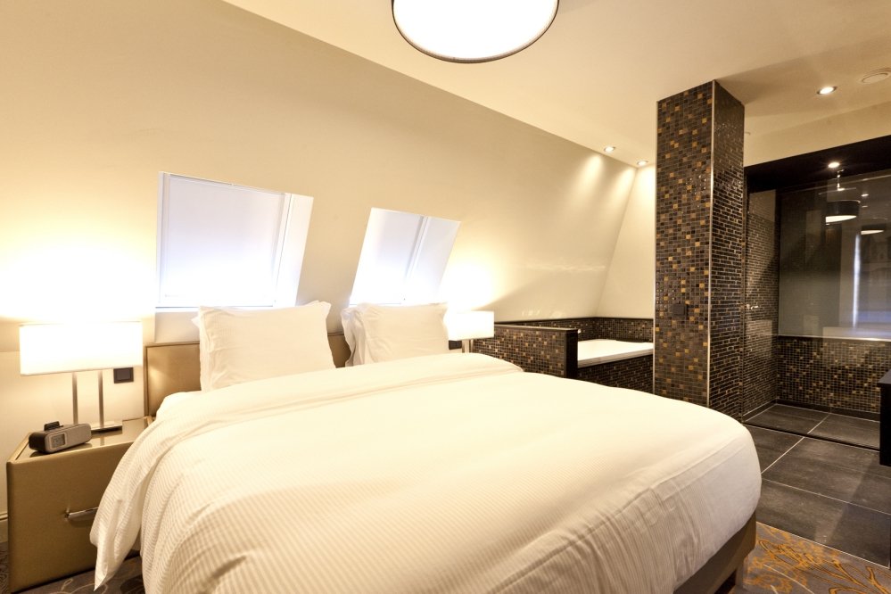 Luxurious bedroom with skylights